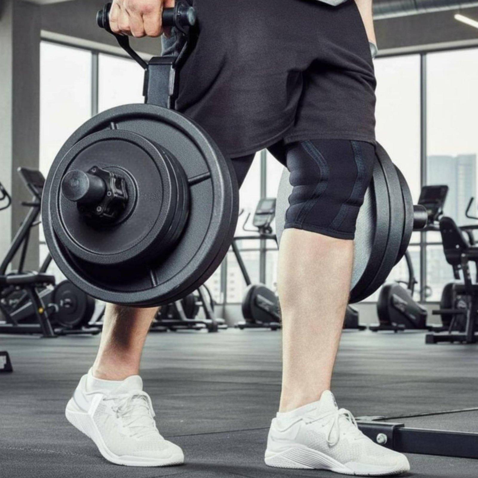 Multi-size Barbell Plate Holde - đánh giá và giá Fitness Equipment