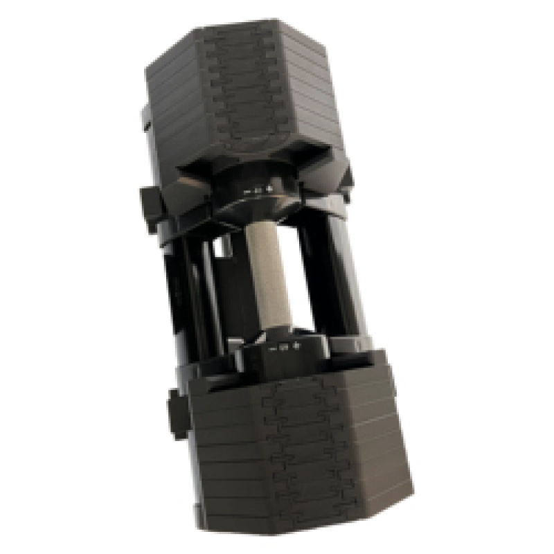 Commercial & Home Adjustable W - đánh giá và giá Adjustable Dumbbell Pair 40Kg