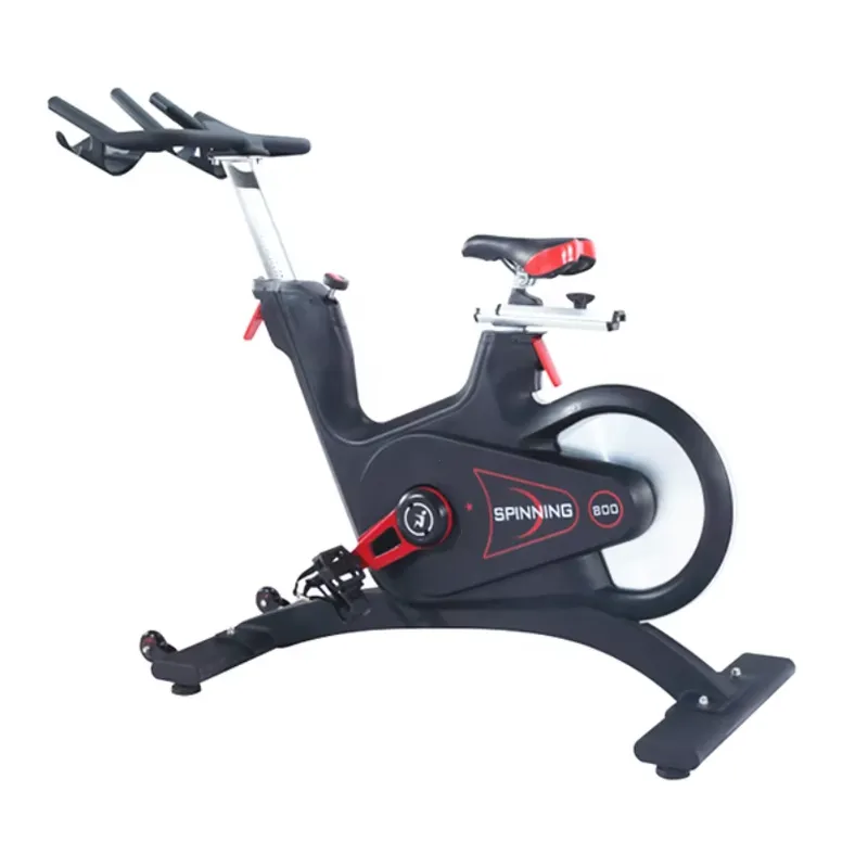 Professional Magnetic Resistan - đánh giá và giá Exercise Bike Magnetic Resistance