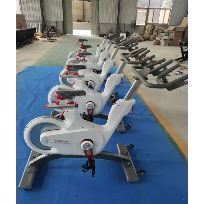 Professional Magnetic Resistan - đánh giá và giá Exercise Bike Magnetic Resistance