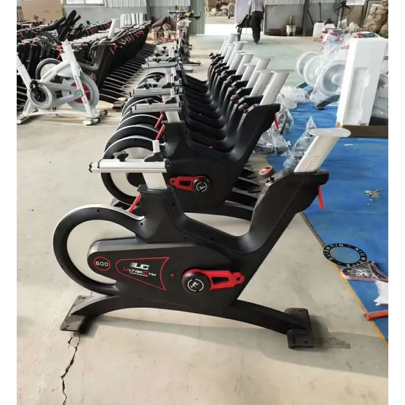 Professional Magnetic Resistan - đánh giá và giá Exercise Bike Magnetic Resistance