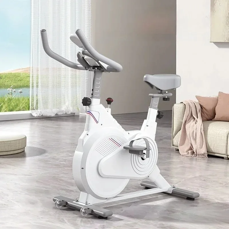 Black and White Exercise Bikes - đánh giá và giá Exercise Bike Magnetic Resistance
