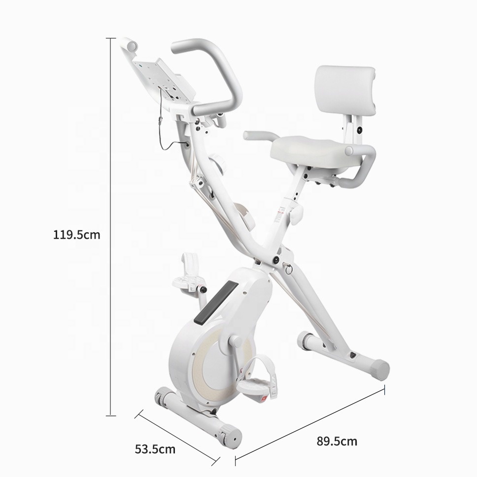 Magnetic Resistance Upright Fo - đánh giá và giá Exercise Bike Magnetic Resistance