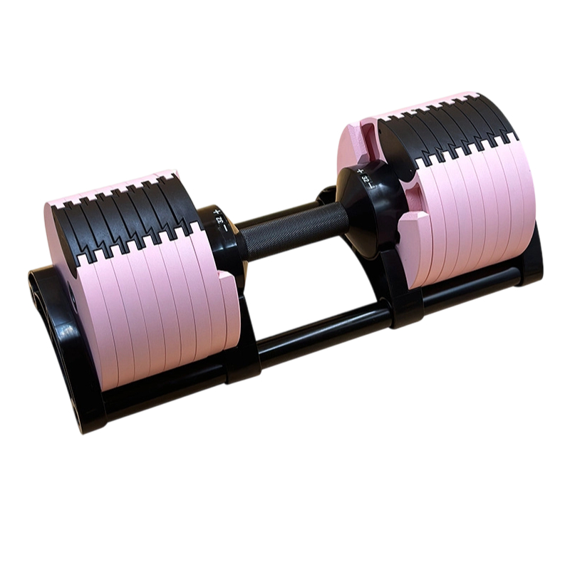 2026 2026 80kg Gym-Quality Cas - đánh giá và giá Adjustable Dumbbell Pair 40Kg