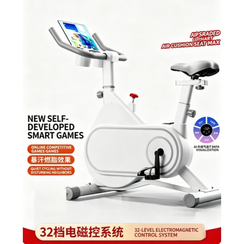 Silent Magnetic Resistance Spi - đánh giá và giá Exercise Bike Magnetic Resistance