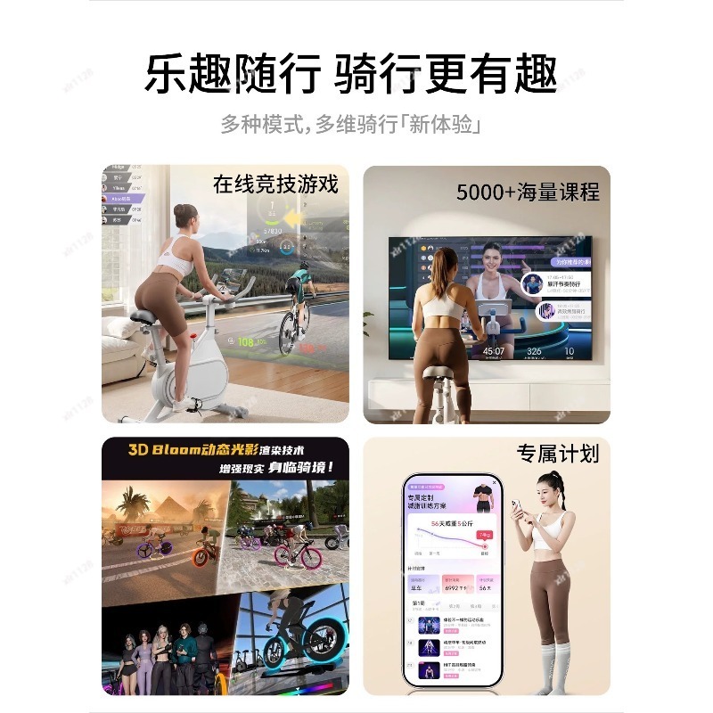 Silent Magnetic Resistance Spi - đánh giá và giá Exercise Bike Magnetic Resistance
