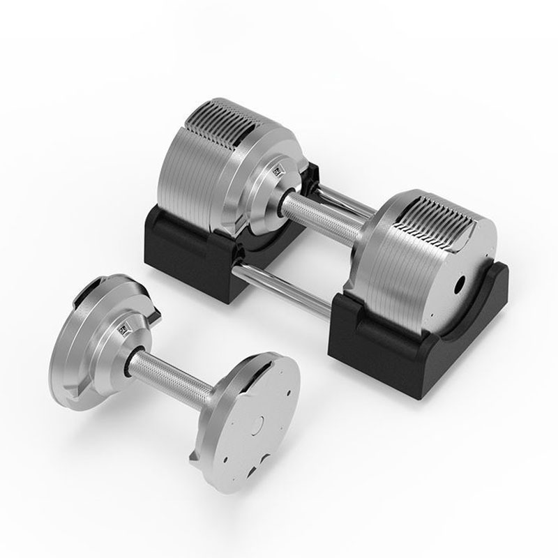 Silver Adjustable Electroplate - đánh giá và giá Adjustable Dumbbell Pair 40Kg