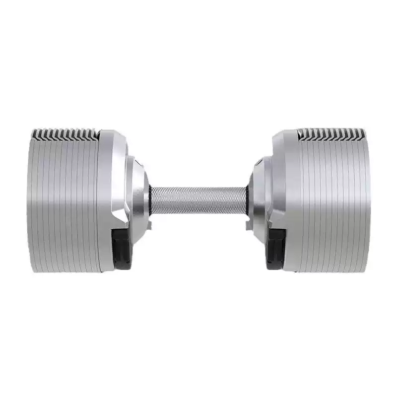 Silver Adjustable Electroplate - đánh giá và giá Adjustable Dumbbell Pair 40Kg