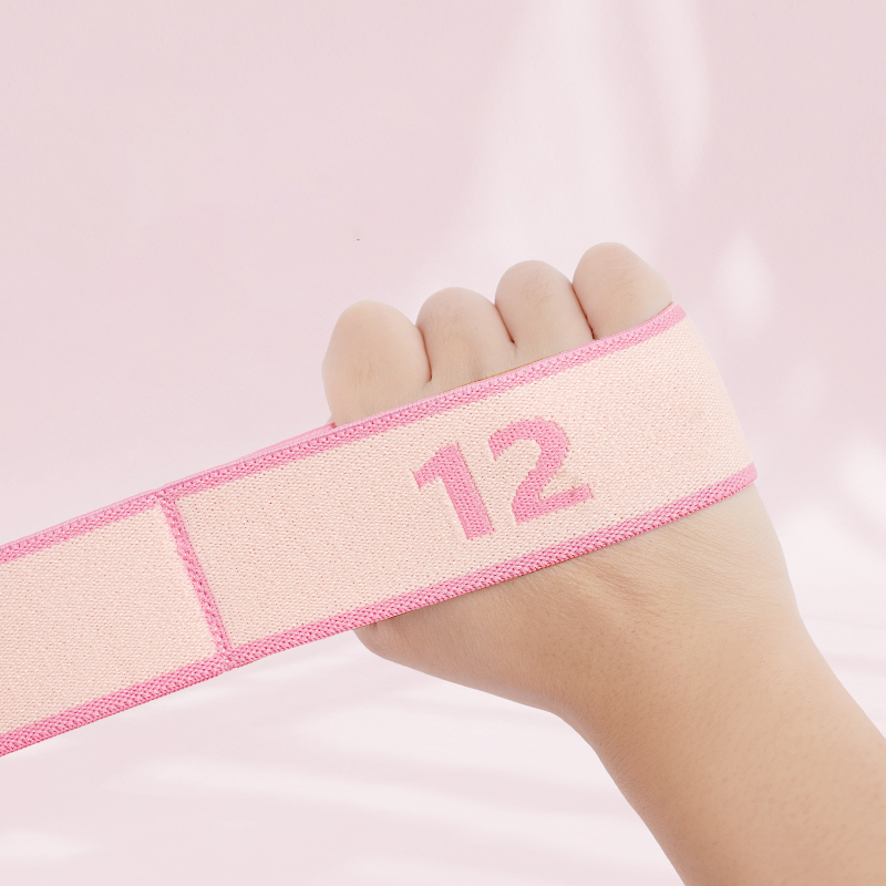 Yoga Elastic Stretch Band Resi - đánh giá và giá Pilates Bar Kit With Resistance Bands