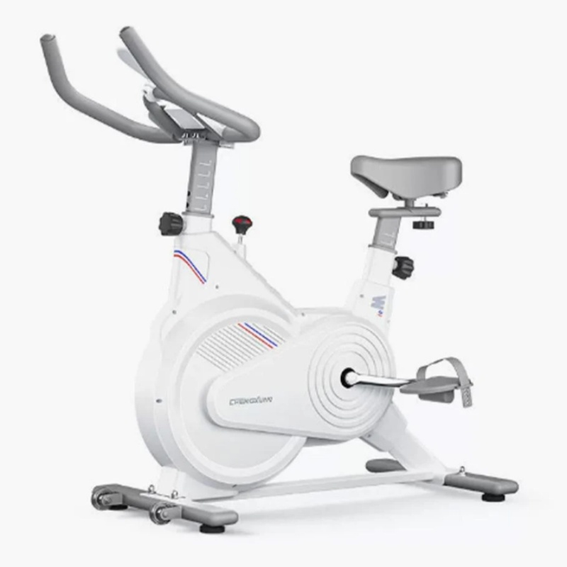 Indoor Stationary Spin Bike, S - đánh giá và giá Exercise Bike Magnetic Resistance