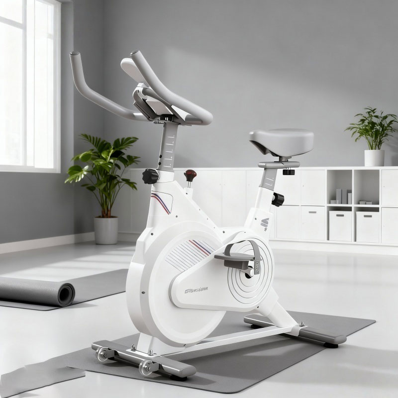 Indoor Stationary Spin Bike, S - đánh giá và giá Exercise Bike Magnetic Resistance