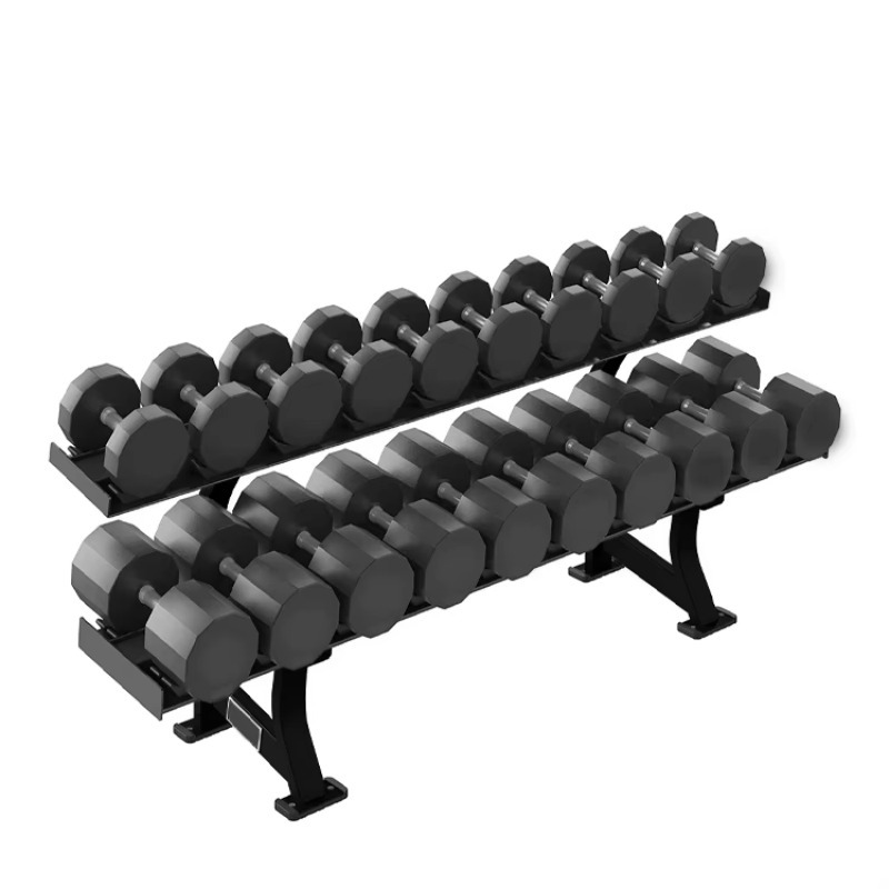 2-Tier 10 Pairs Dumbbell Stora - đánh giá và giá Fitness Equipment