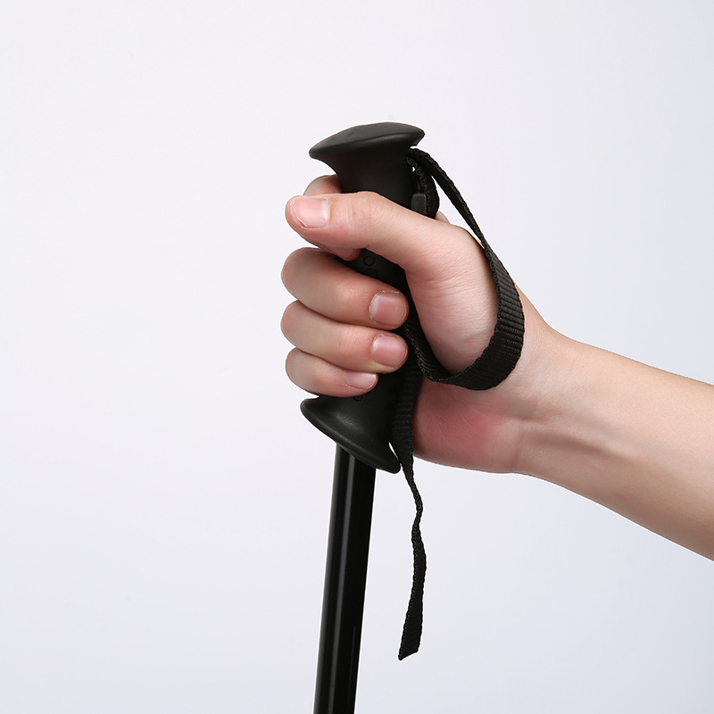 2-section Adjustable Telescopi - đánh giá và giá Hiking